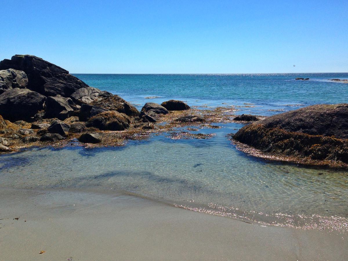 Clark's Harbour The East Wind Guesthouse מראה חיצוני תמונה